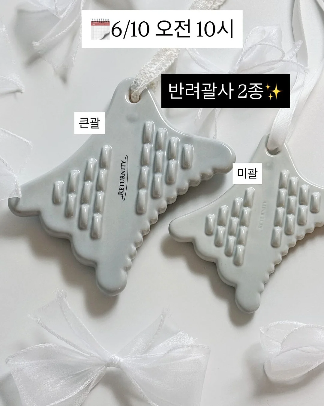 쉘니스 6월 모닝 리추얼 2