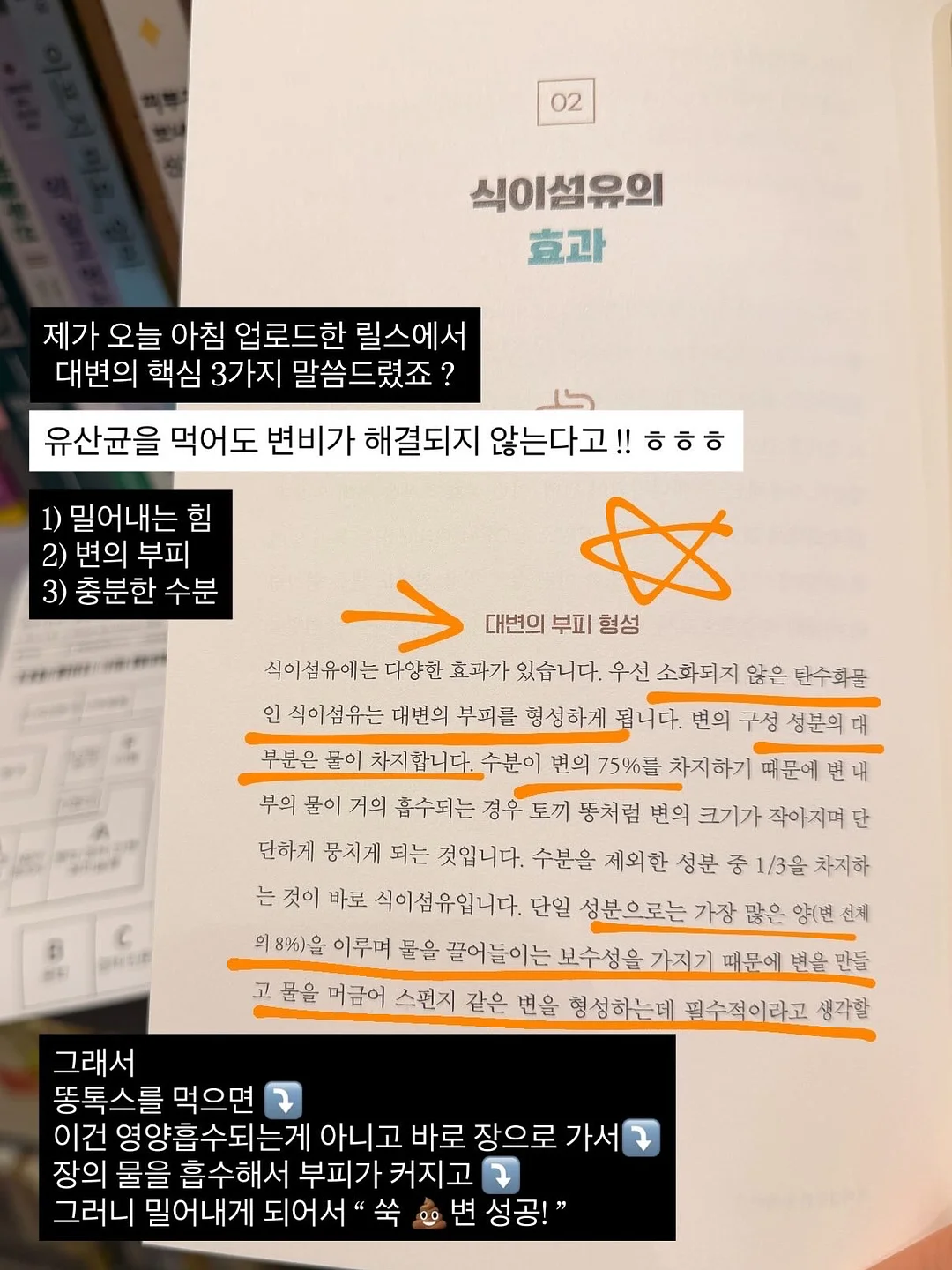 민트템 4