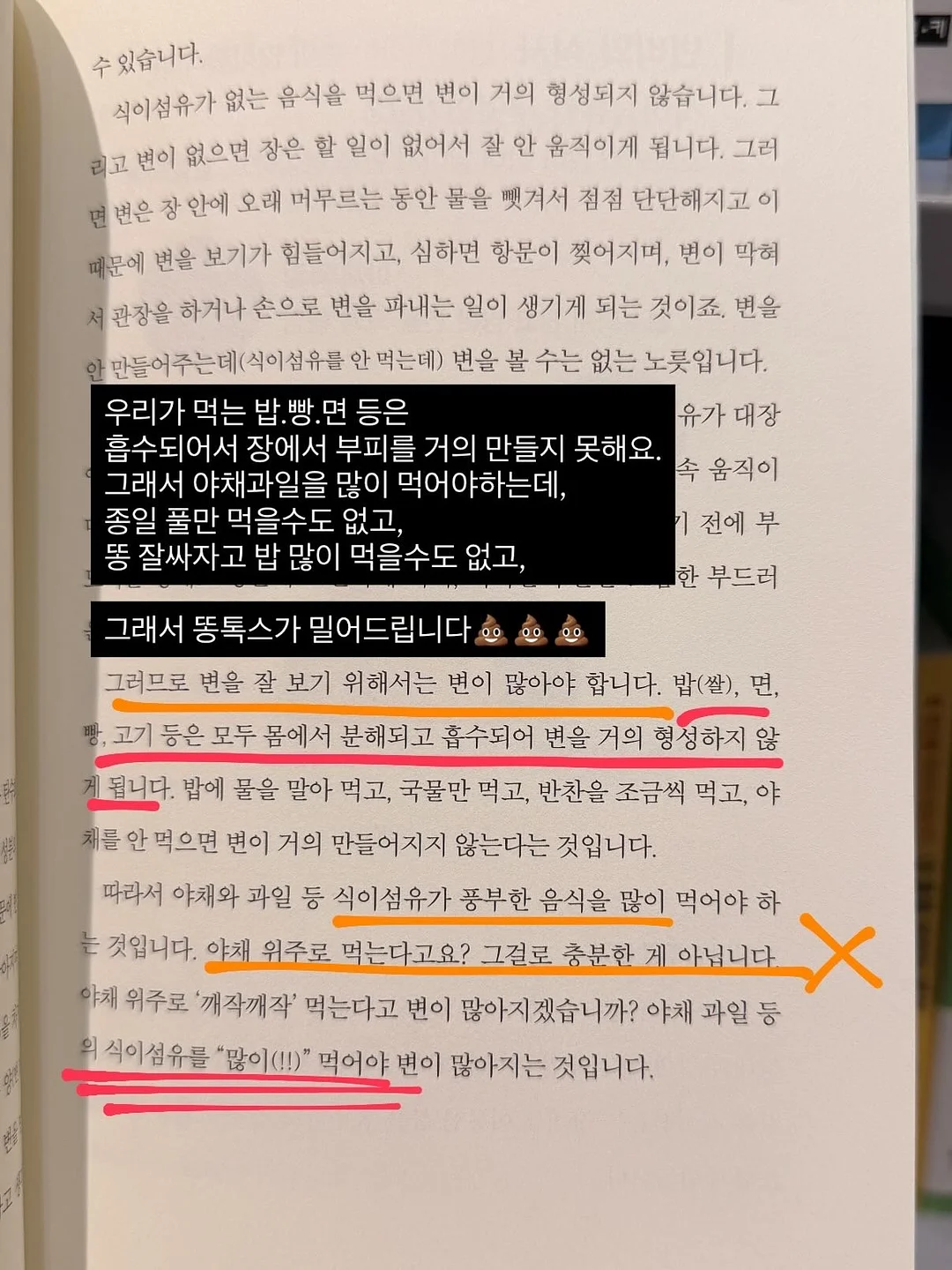 민트템 5