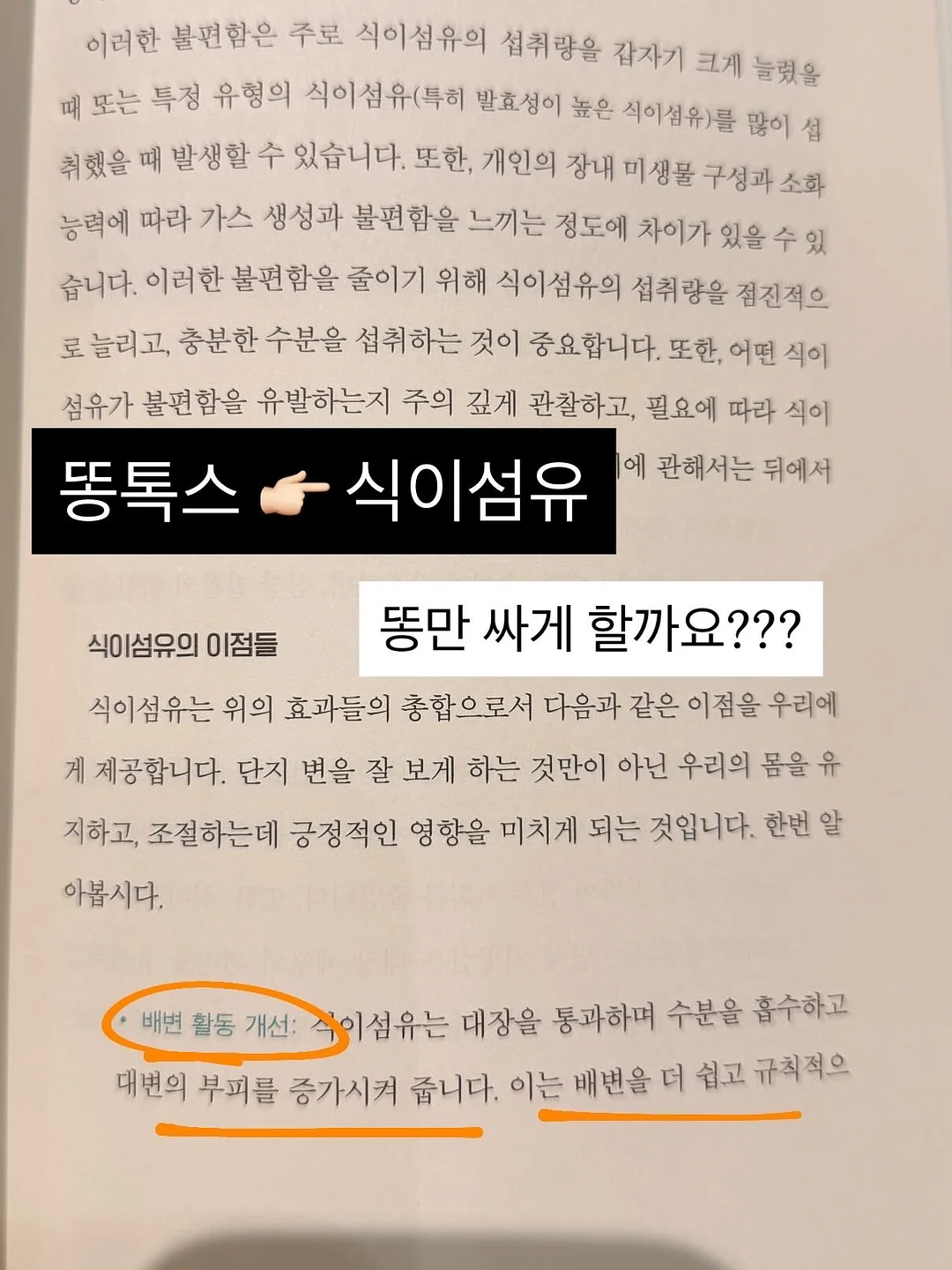민트템 6