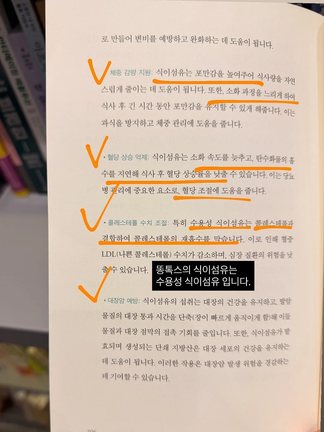 민트템 7
