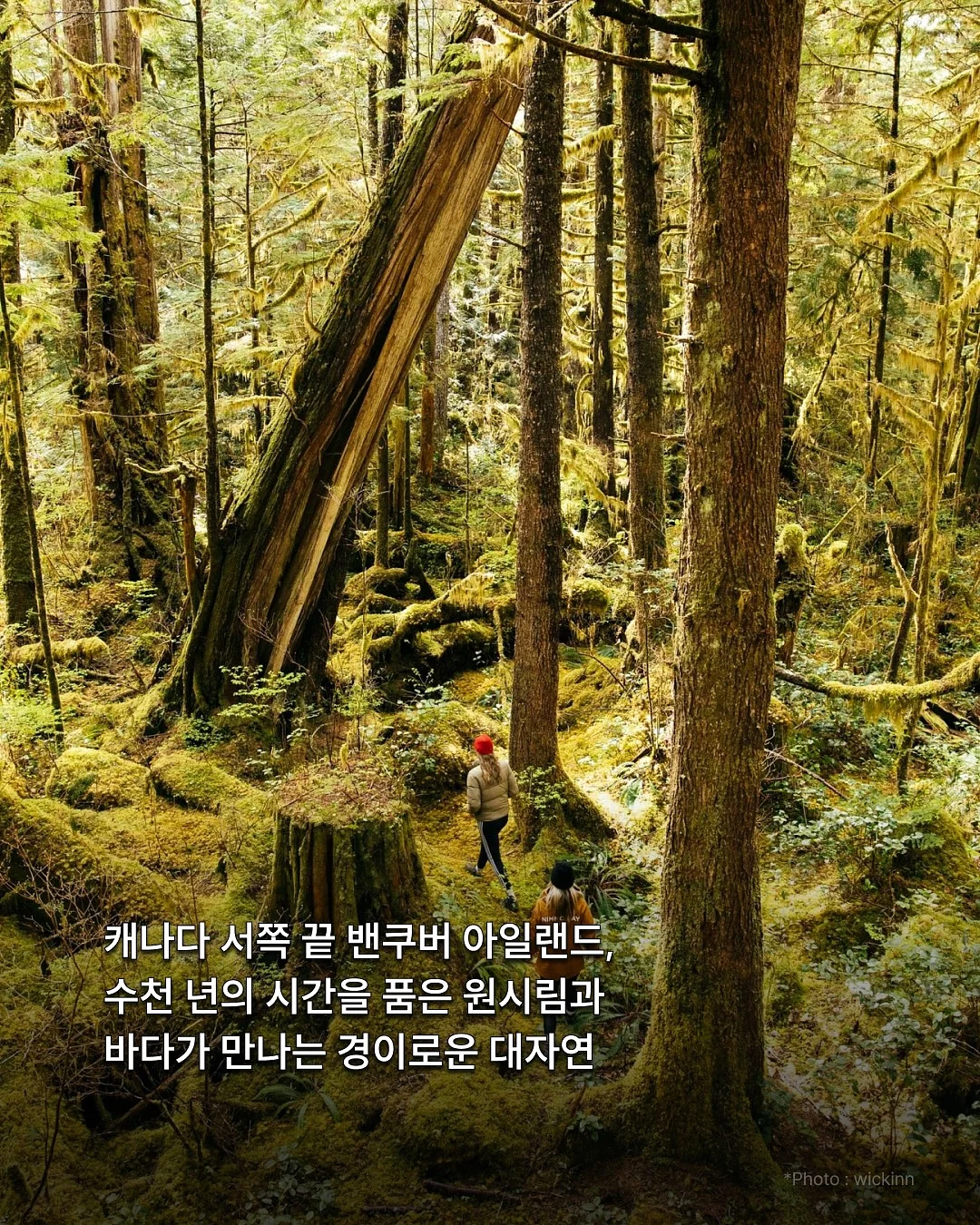 불빛나는 LED 터보 자동 버블건 3