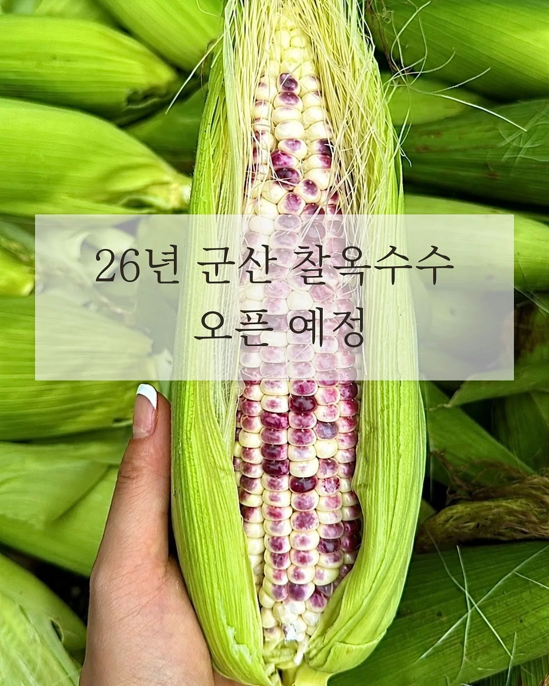 건강 식단 재료 1