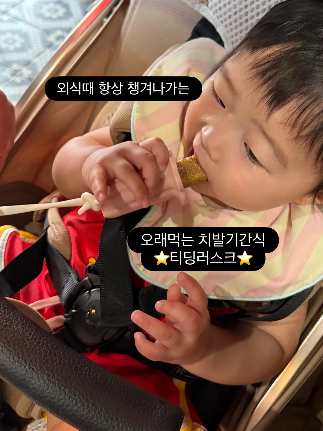 쌍삥줄 버뮤다 4