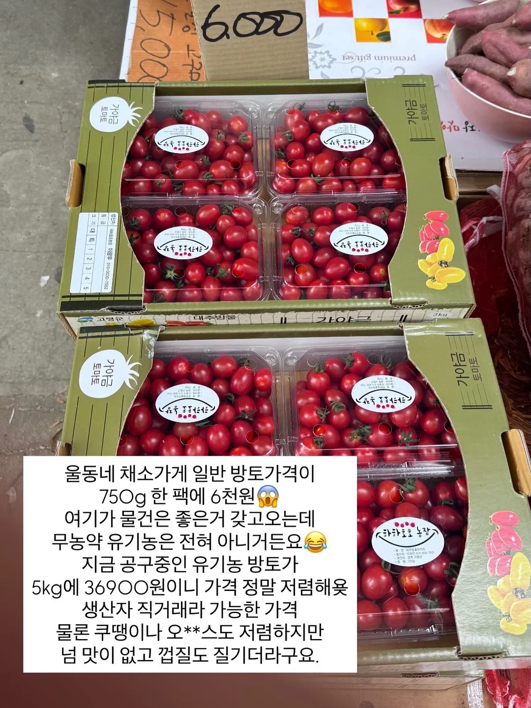 슬러시 메이커 1