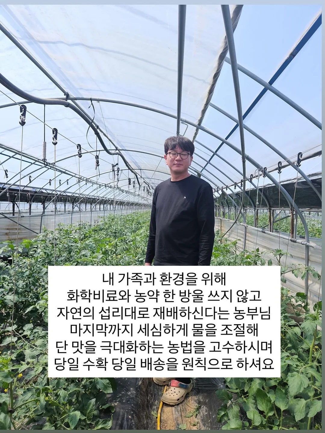 슬러시 메이커 3