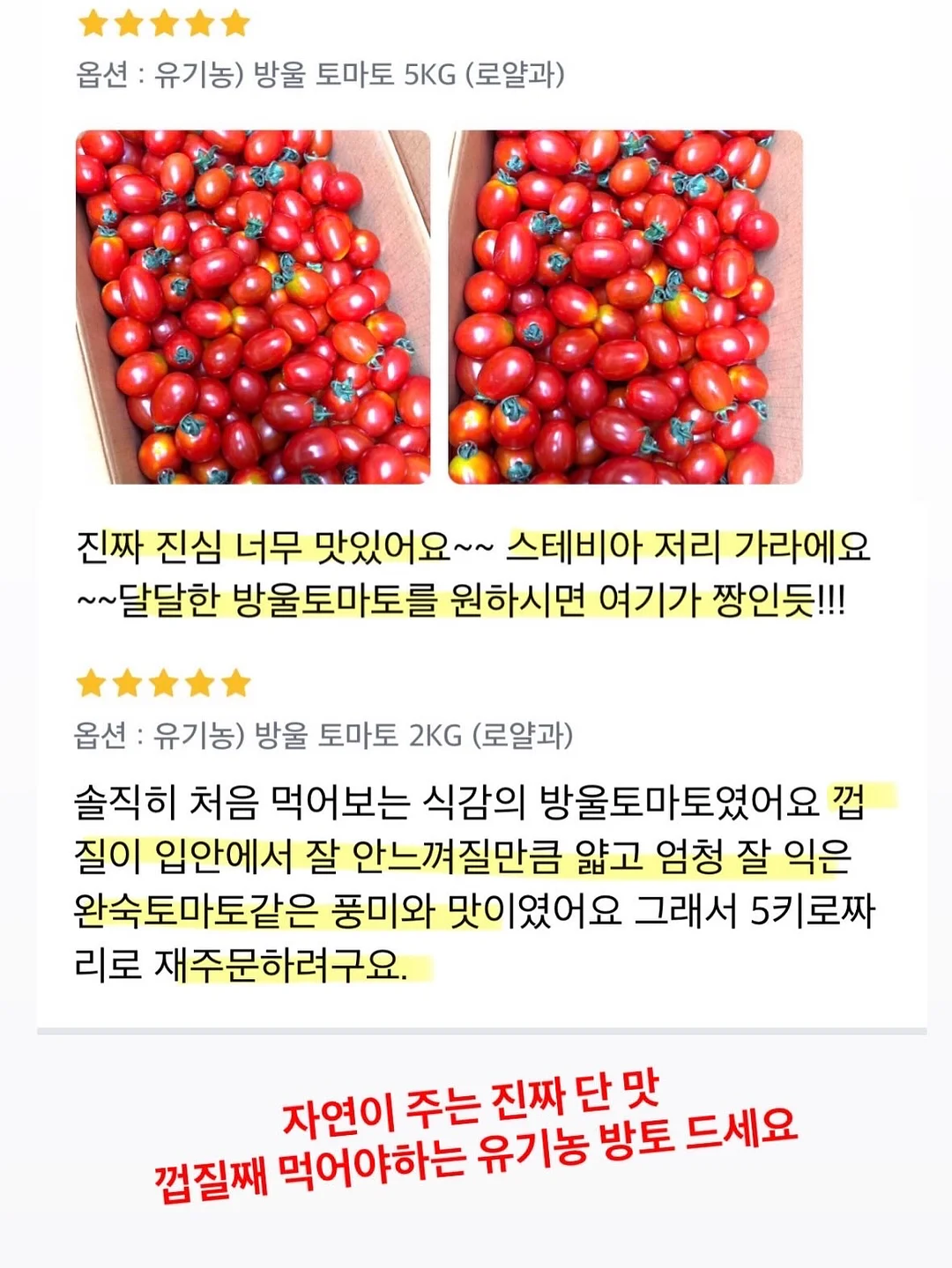 슬러시 메이커 5