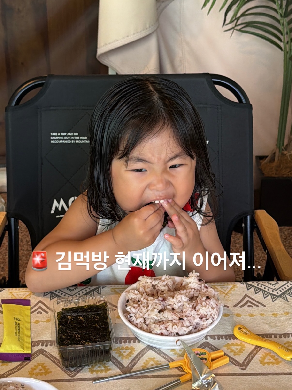 반얀테리후드 3