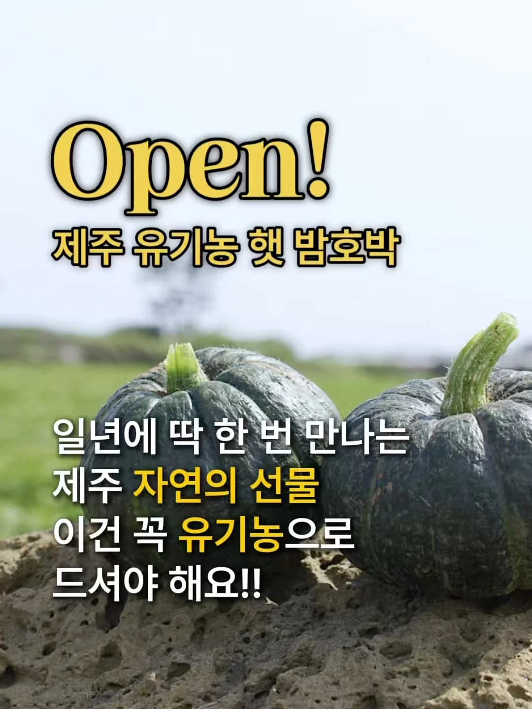 더 뉴 그랜저 장기렌트 1