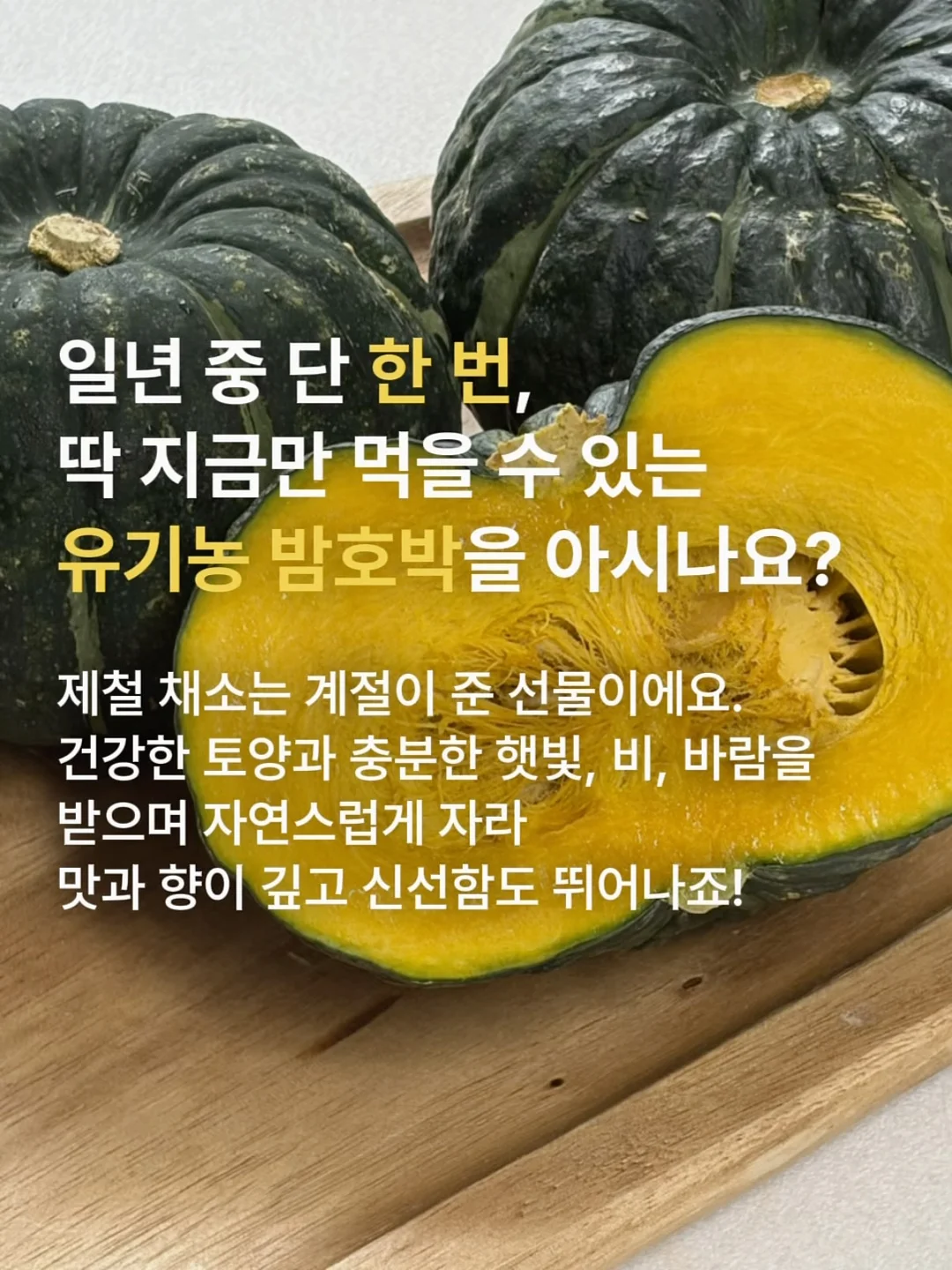 더 뉴 그랜저 장기렌트 2
