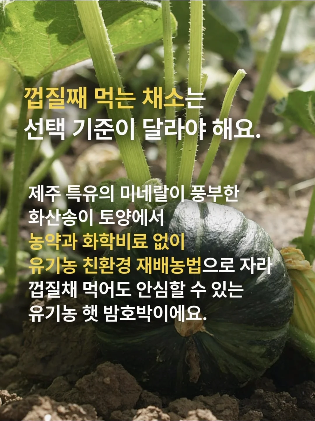 더 뉴 그랜저 장기렌트 3