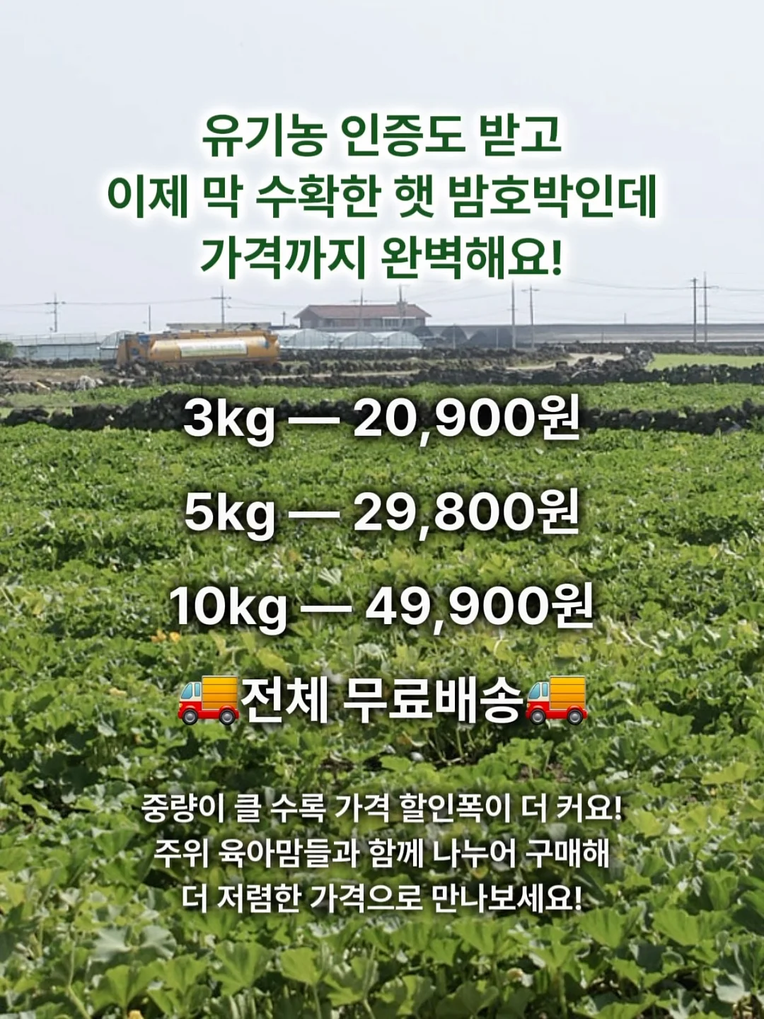 더 뉴 그랜저 장기렌트 4