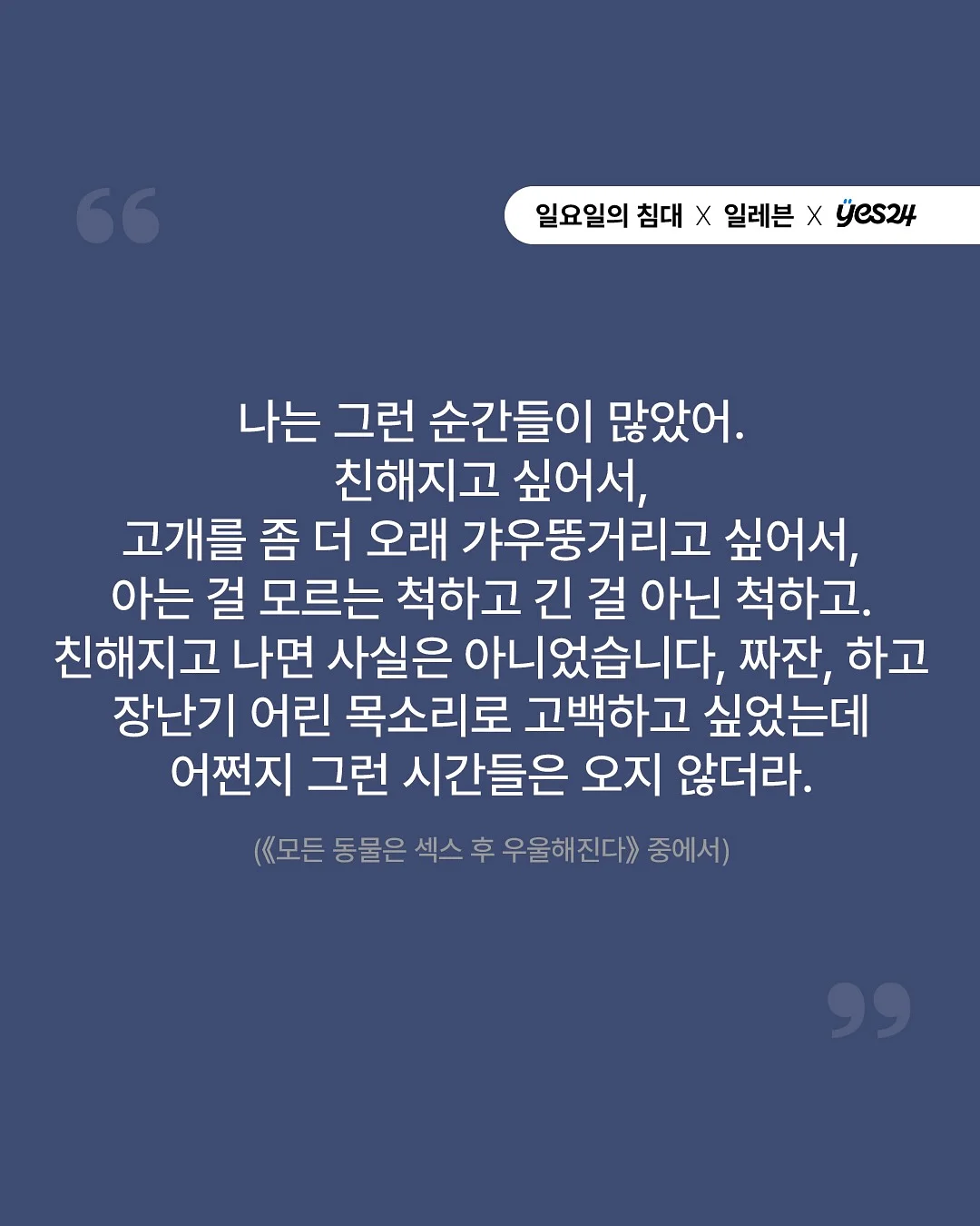 박시핏 티셔츠 3