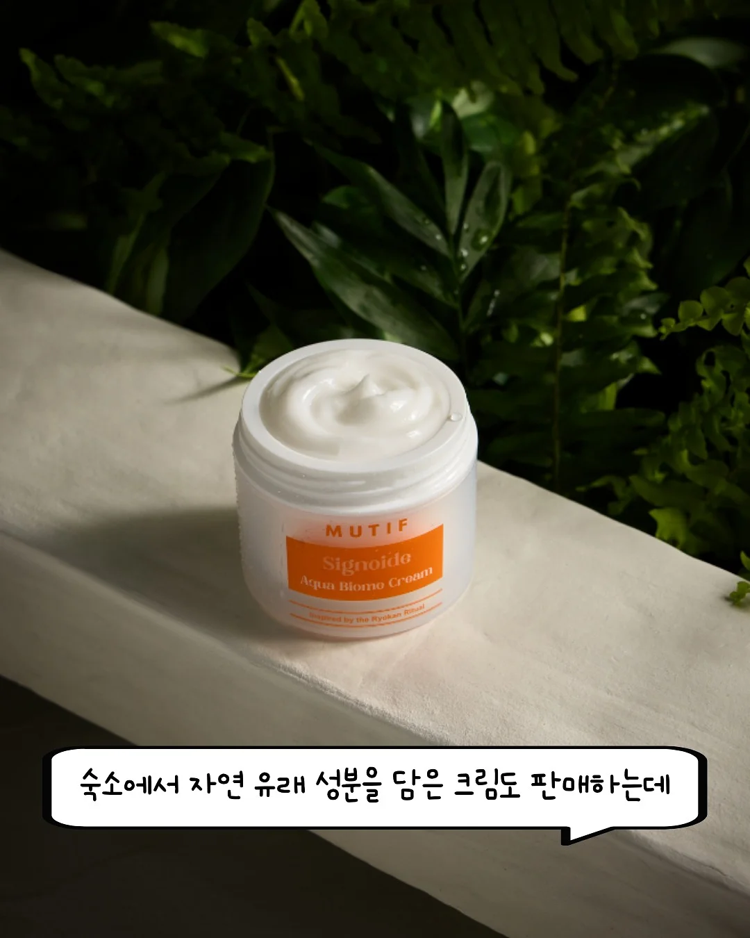 벨르꽃다발 8