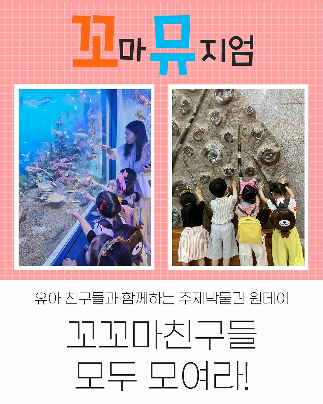 치즈 기획전 2