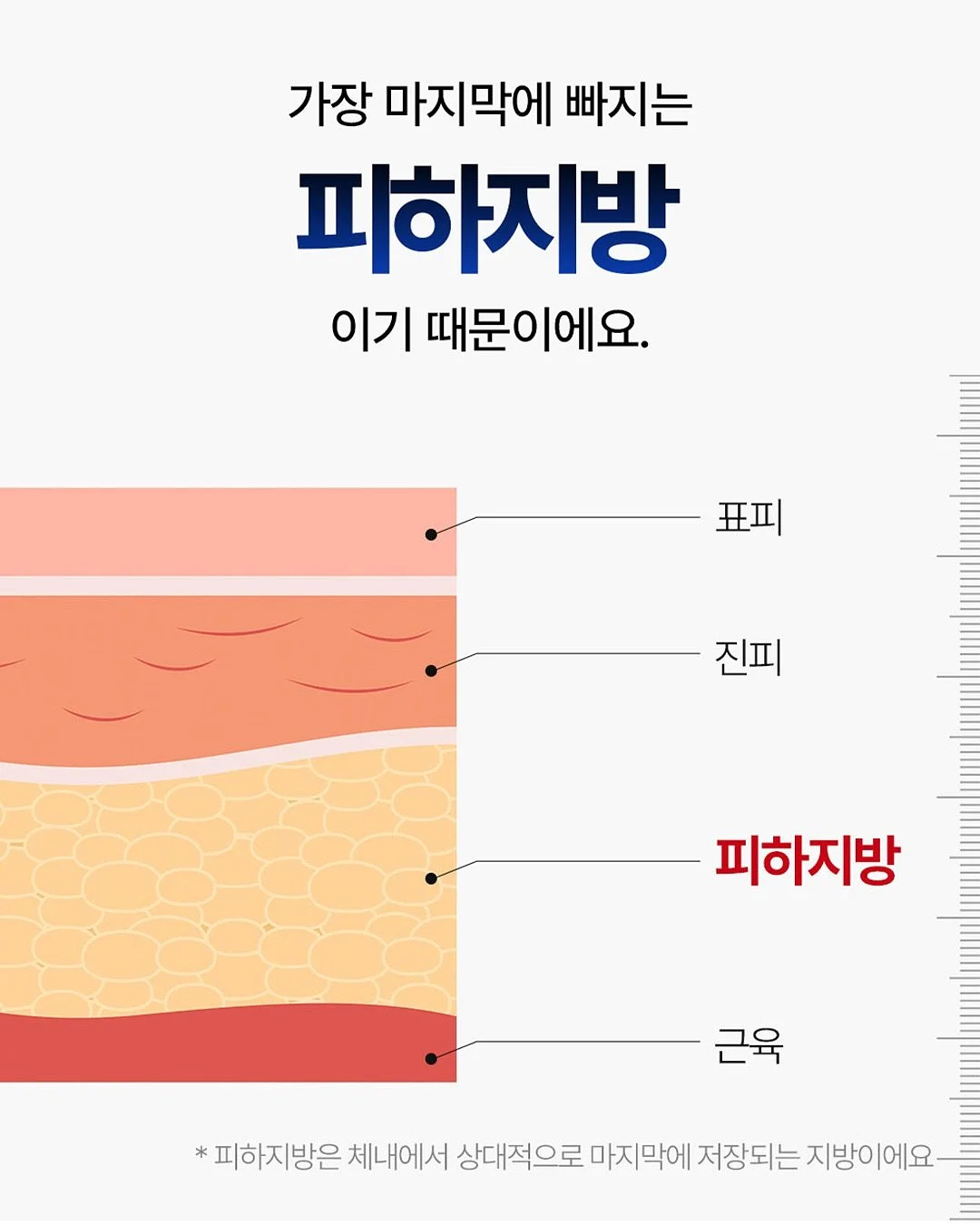 스파이더맨 웹슈터 5