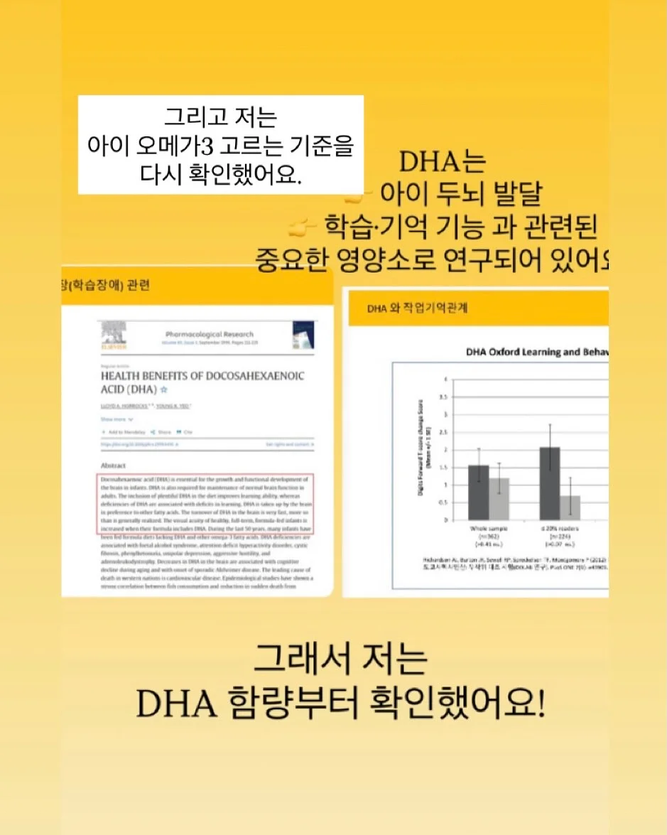낚시 의자 5