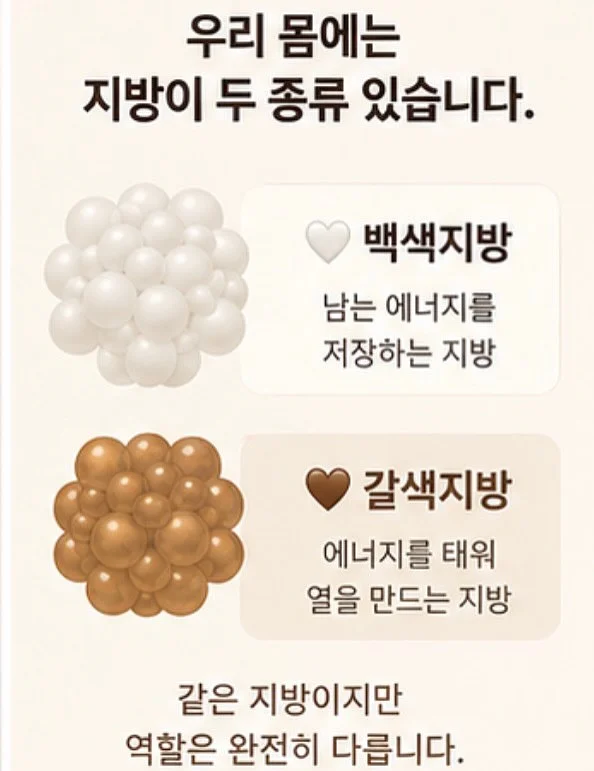 벨리닉 마데카크림 2