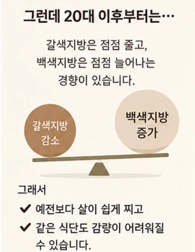 벨리닉 마데카크림 4