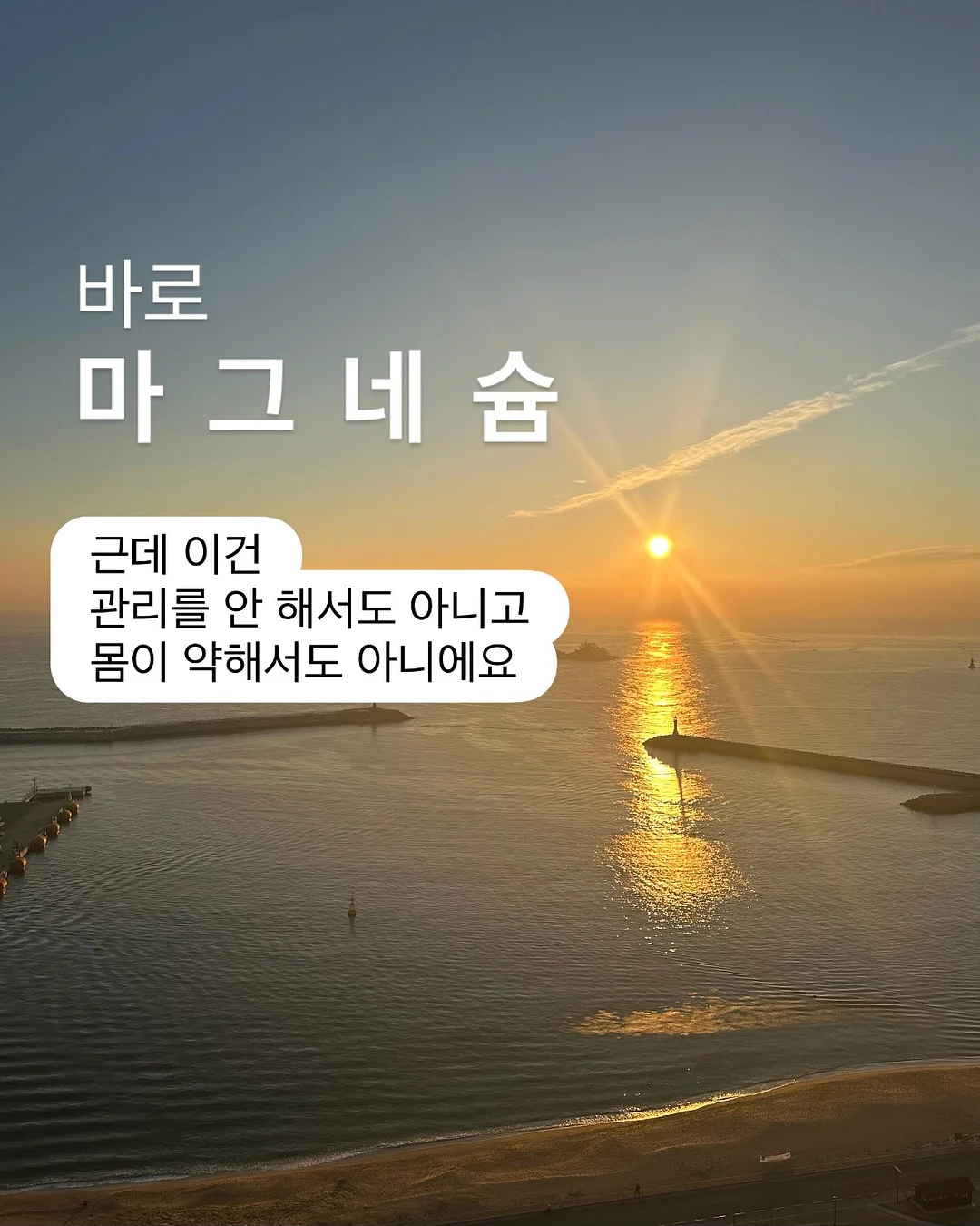 자동 바닥 청소기 2