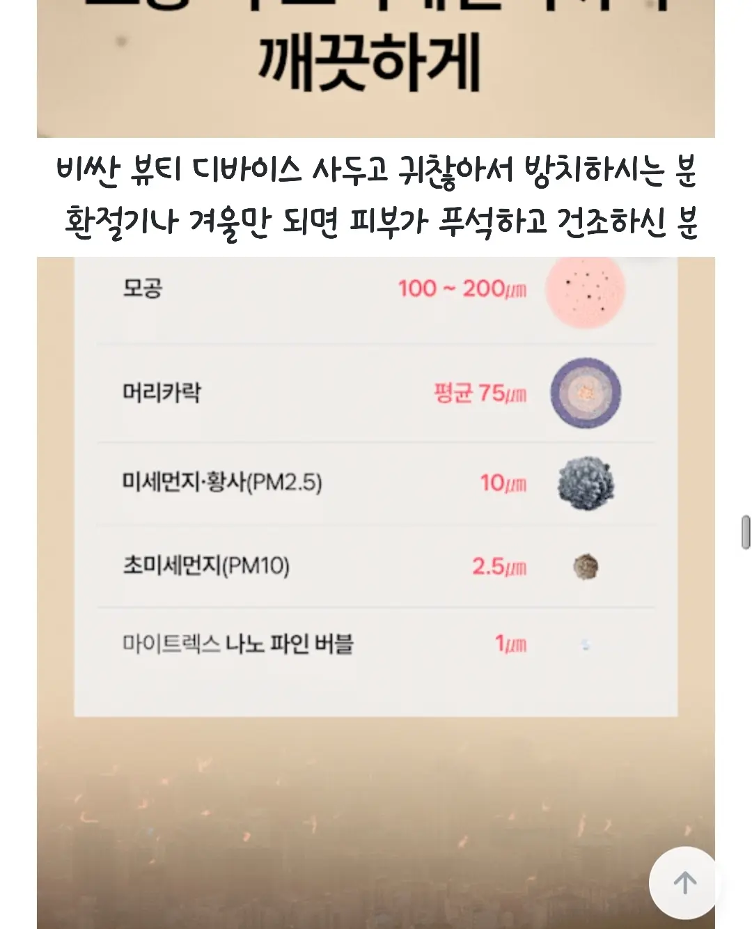 보트넥 그물 니트 2