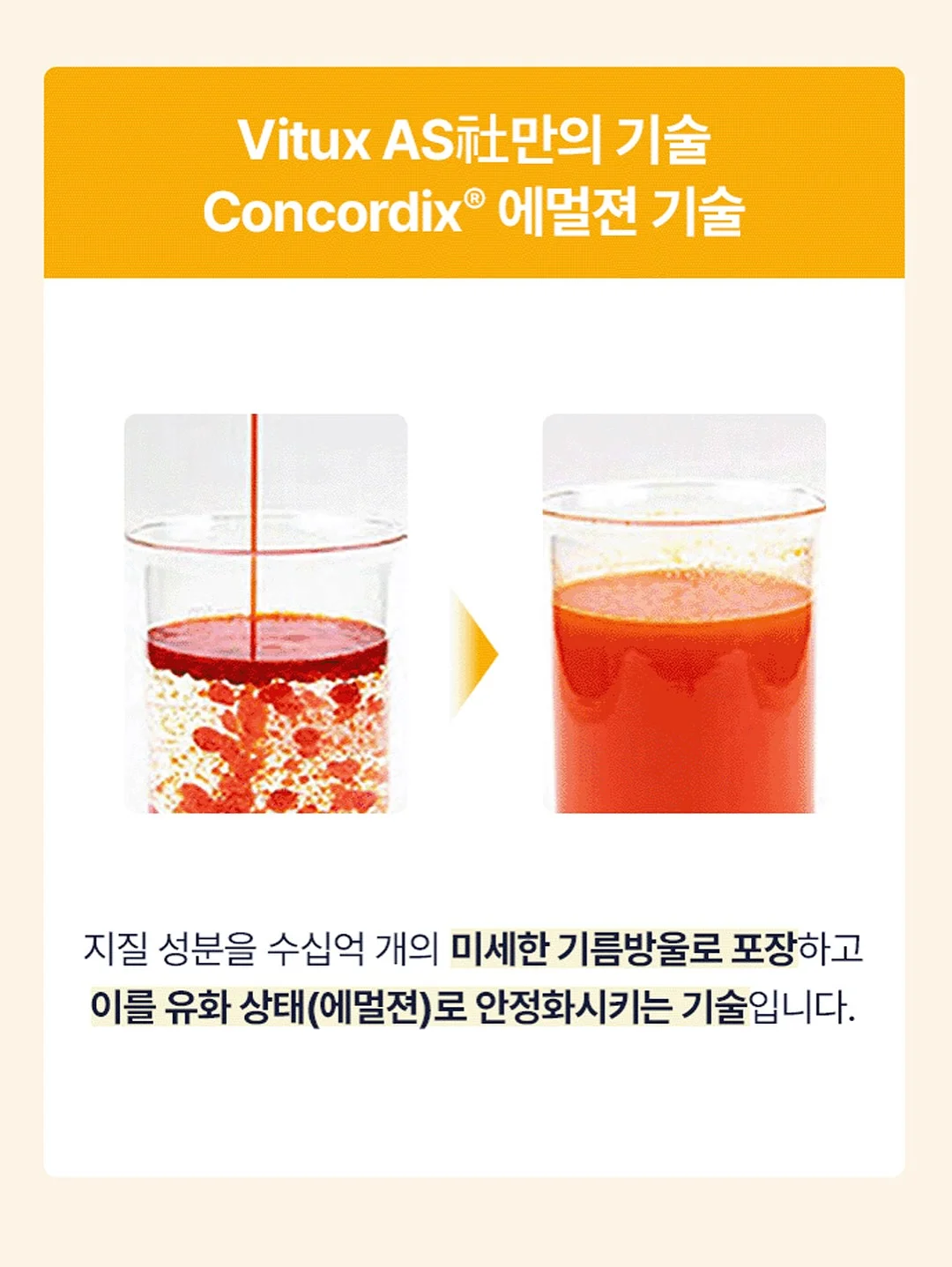 네스카페 돌체구스토 지니오 S 베이직 13