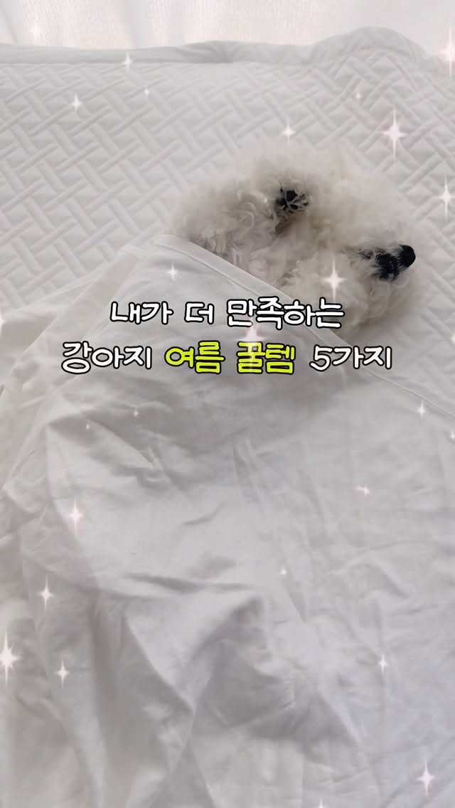 네모닉 AI 오답노트 라벨 메모지 프린터