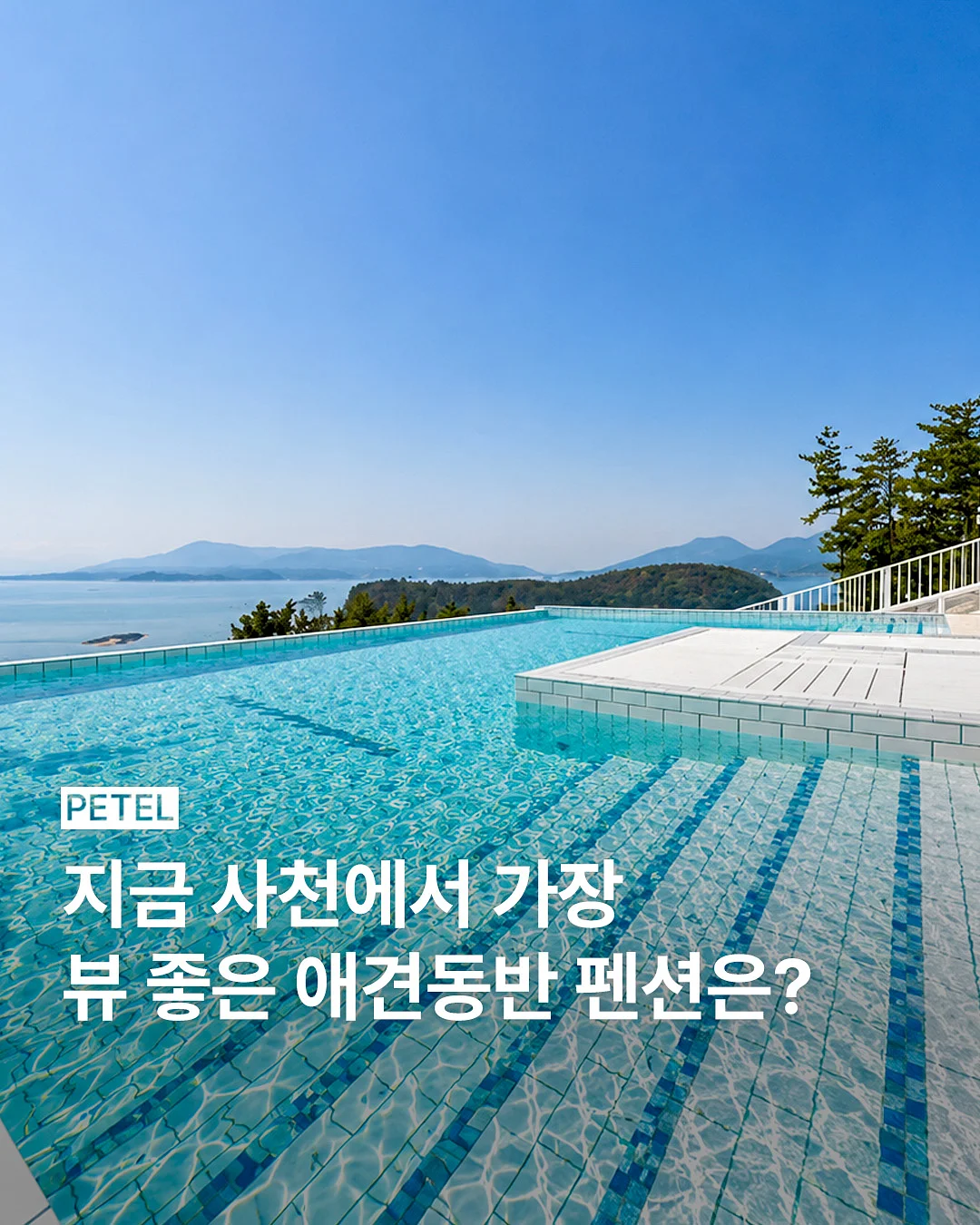 포렛 카네이션 키트 1