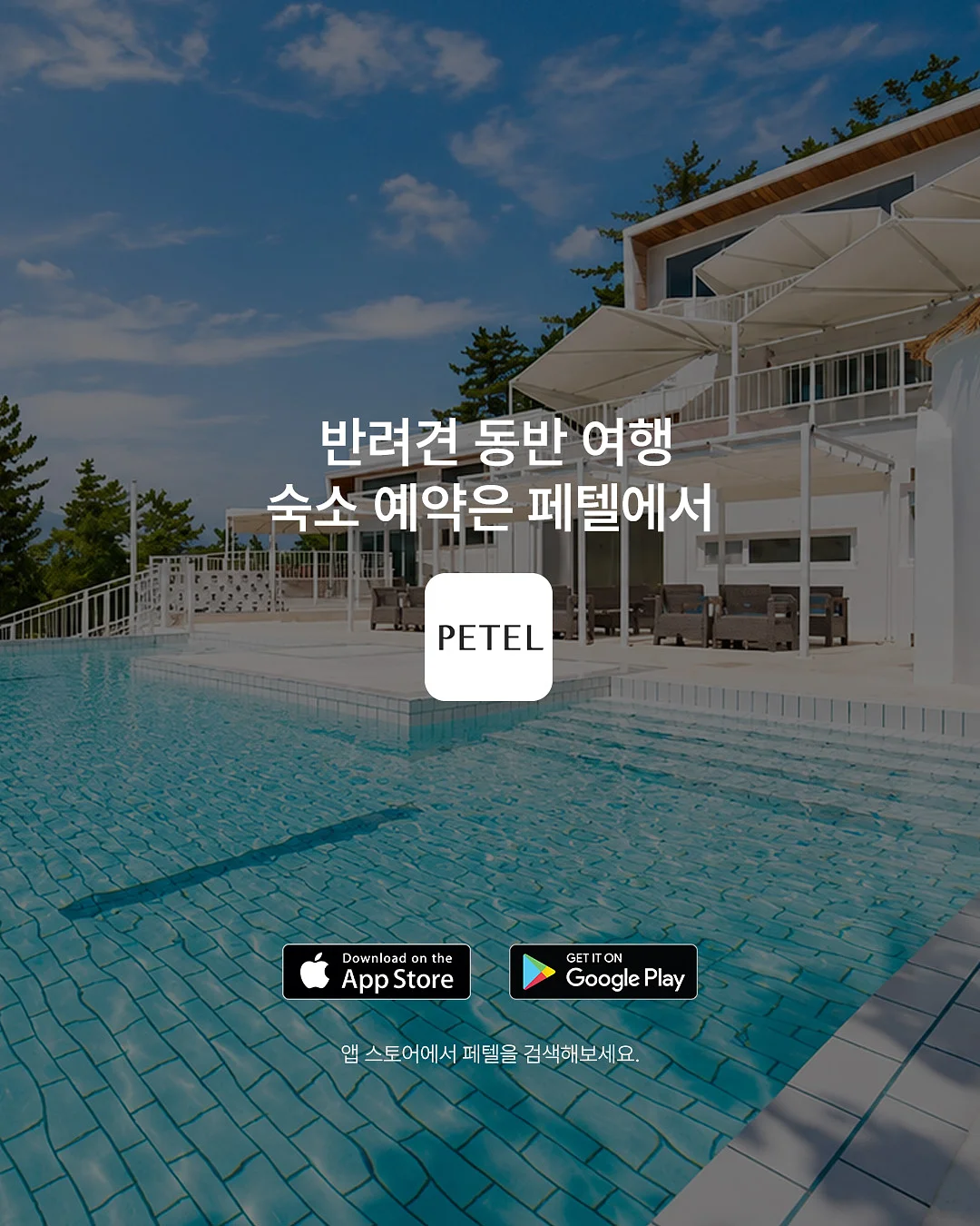 포렛 카네이션 키트 9