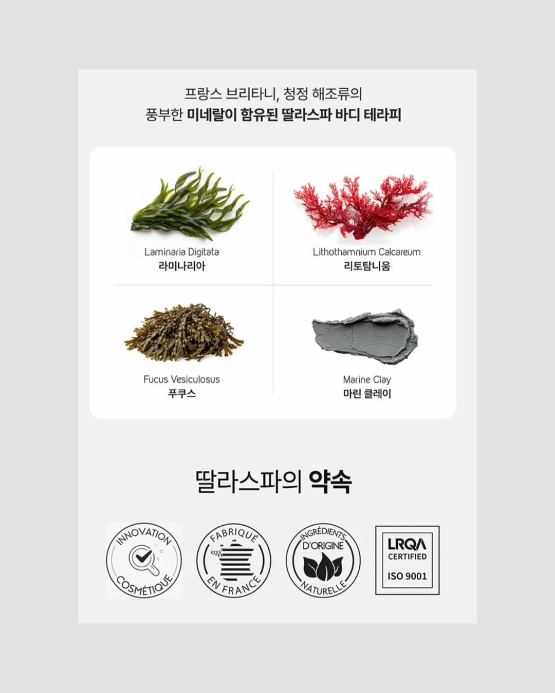 과일믹스 3