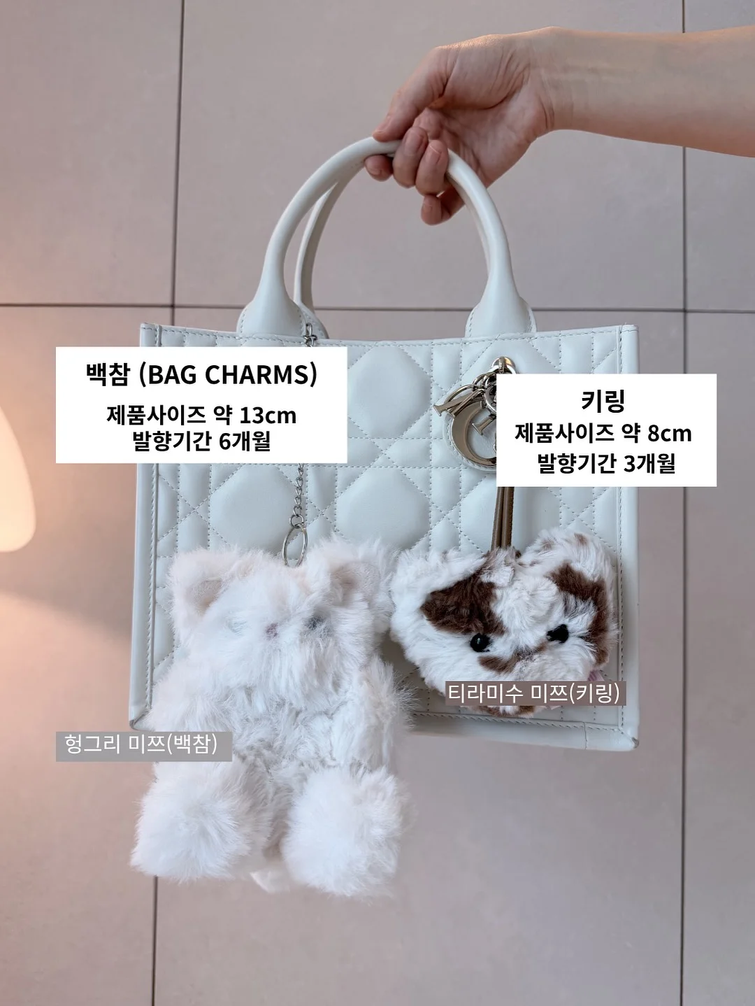 망고라이언 <어떡해요> 4