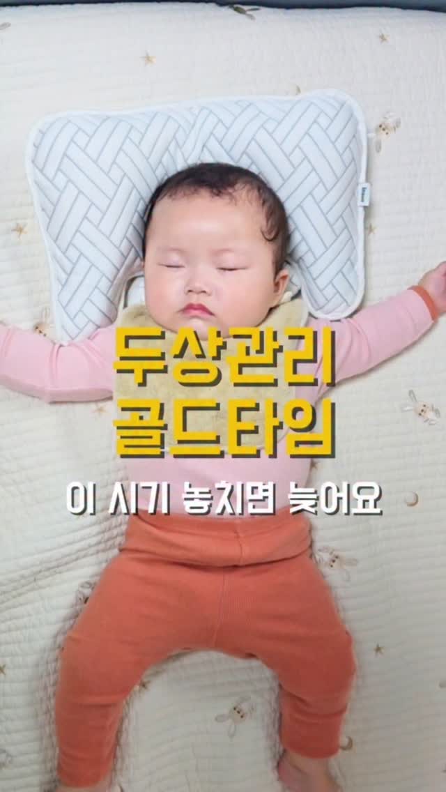 자몽 허니 블랙티 티백