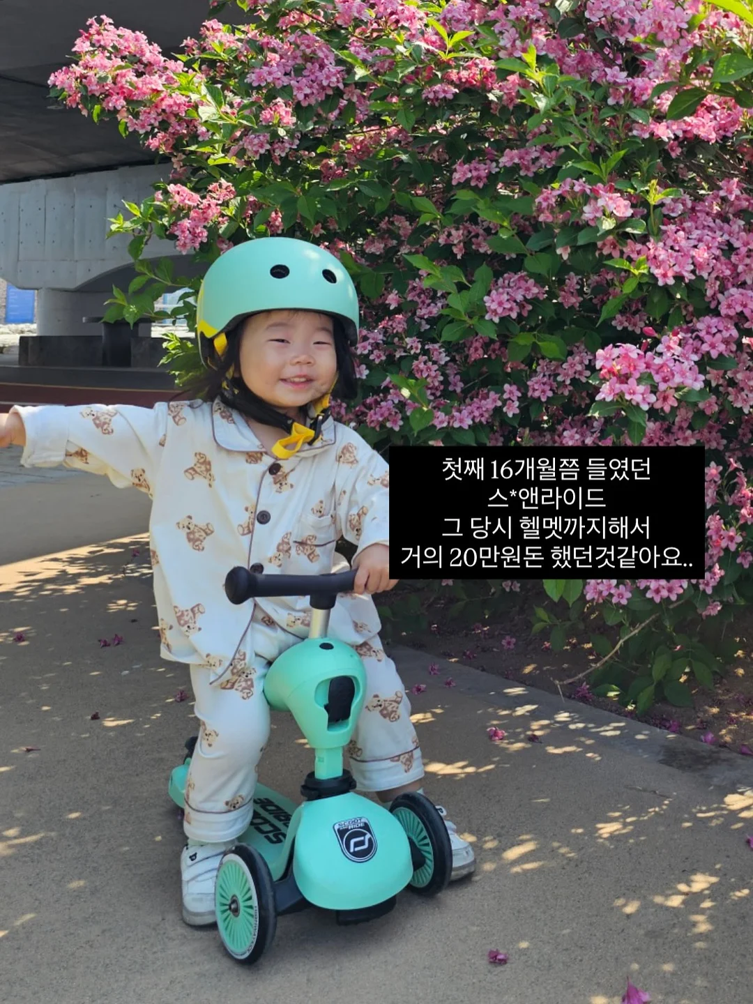 땅속 천연 소화제 2