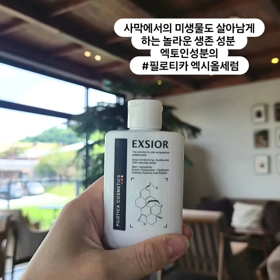 사바티노 트러플 5총사 3