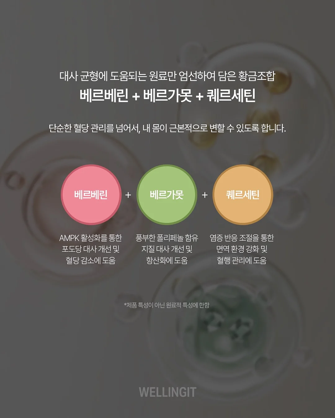 VANS 반팔 3