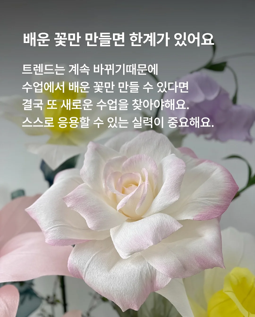 시니멀 슬로우 파테 캣 치킨 3