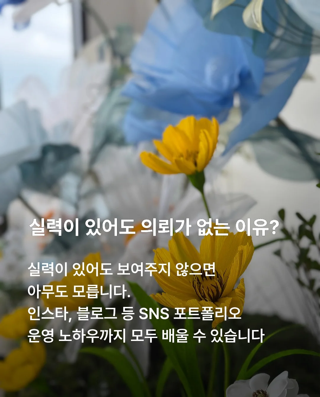 시니멀 슬로우 파테 캣 치킨 5