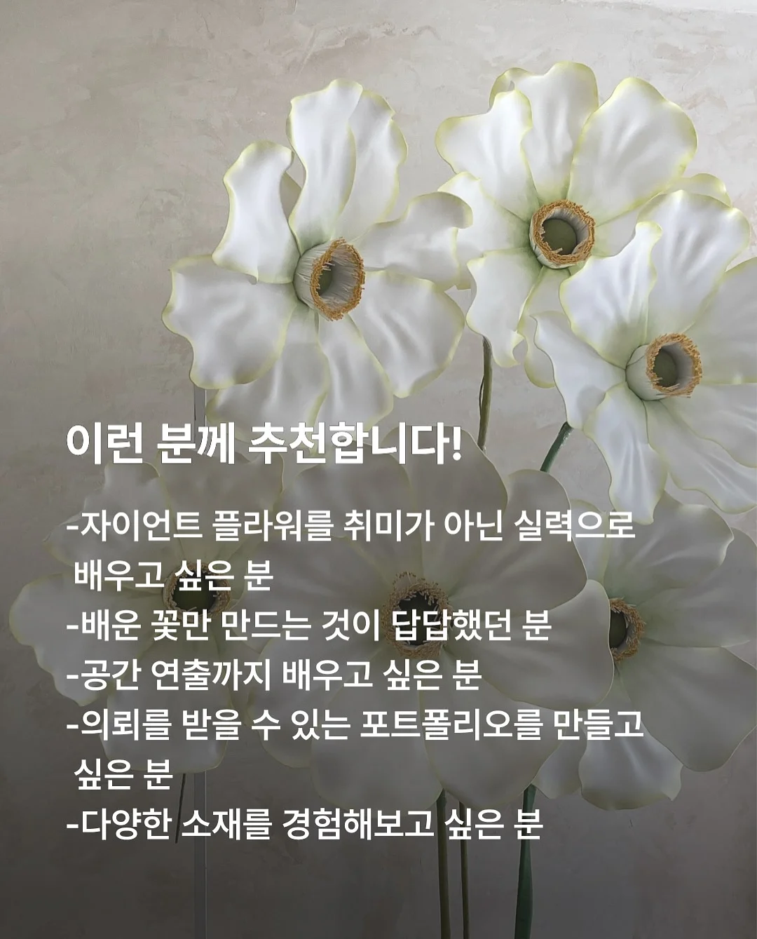 시니멀 슬로우 파테 캣 치킨 8