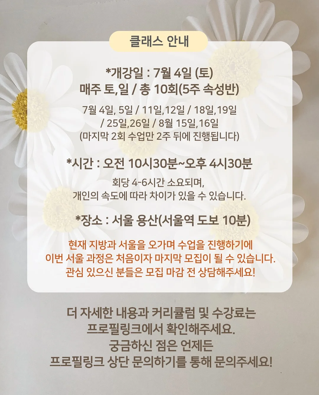 시니멀 슬로우 파테 캣 치킨 9