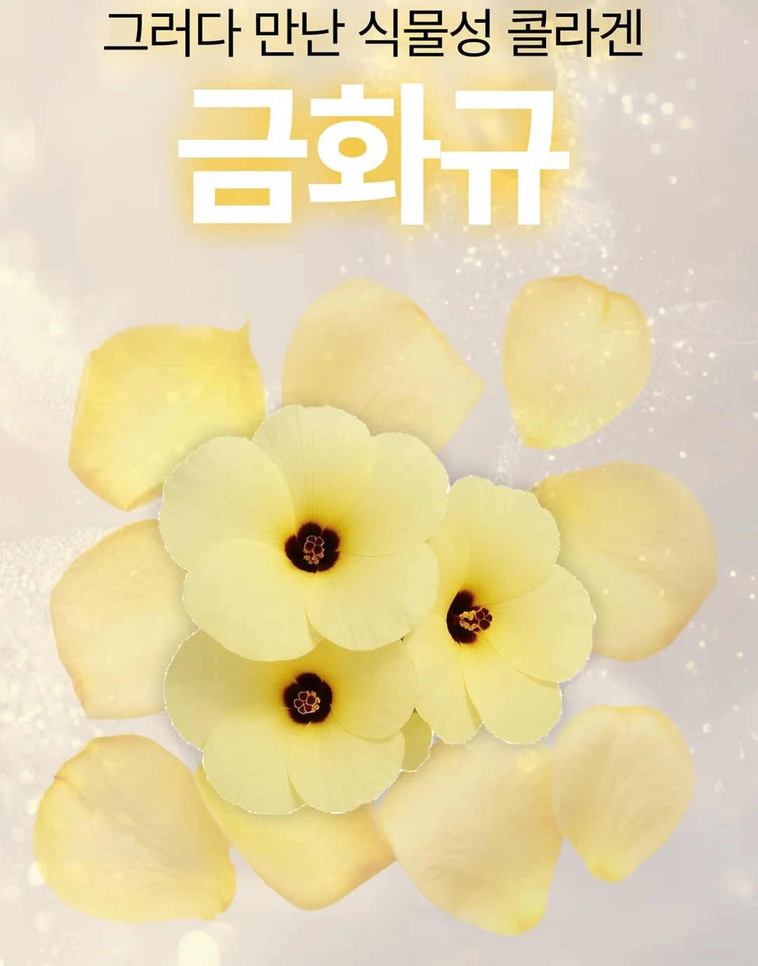 피치피치 여름고쟁이 5
