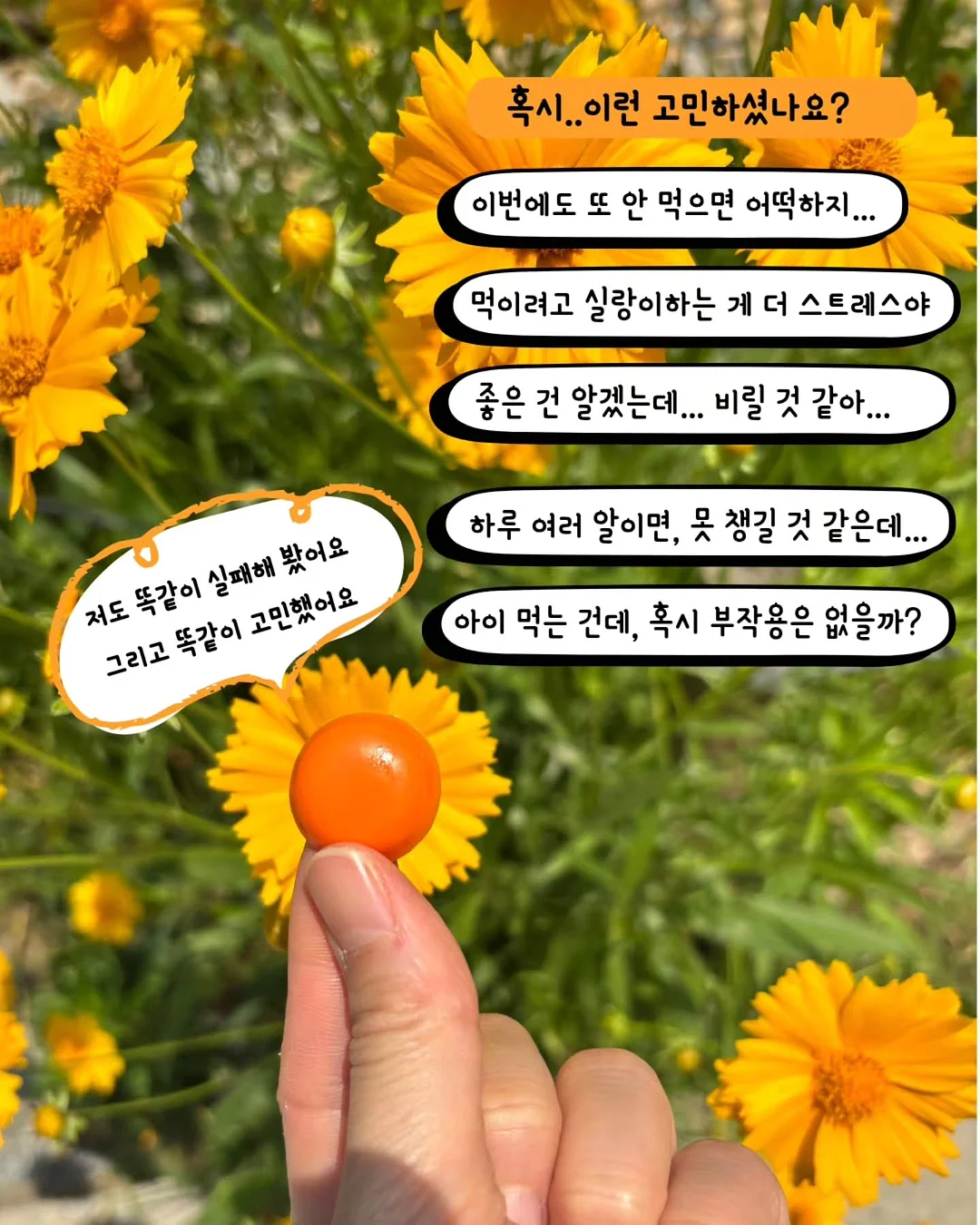 해빗리더 마음습관 자료 5
