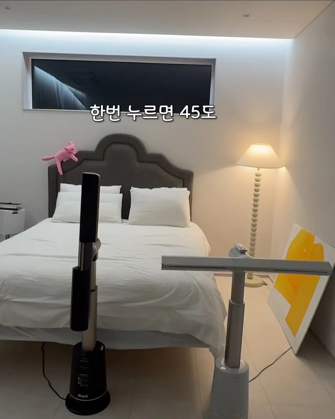 에스트로질 질 미네랄 유산균 11