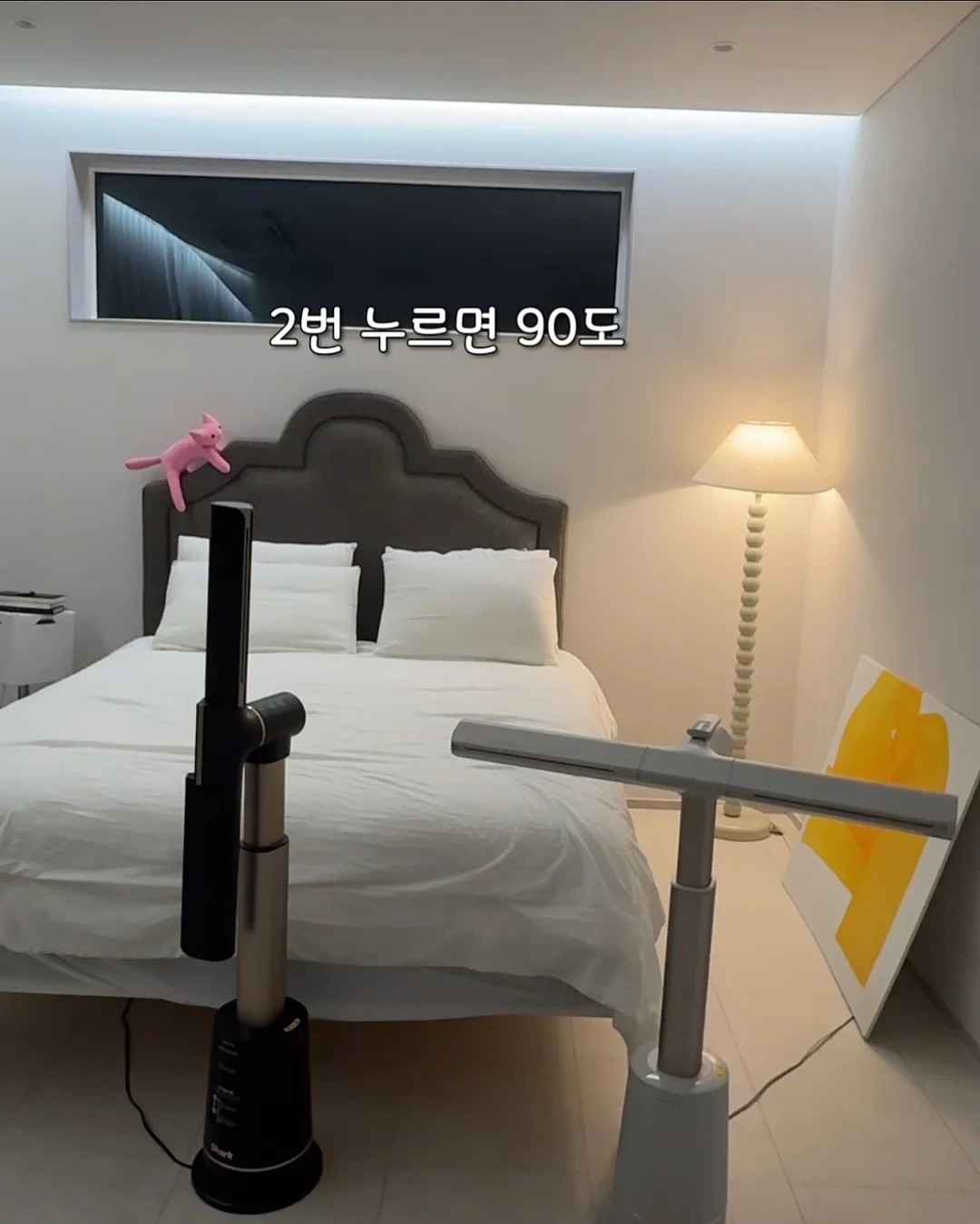 에스트로질 질 미네랄 유산균 12