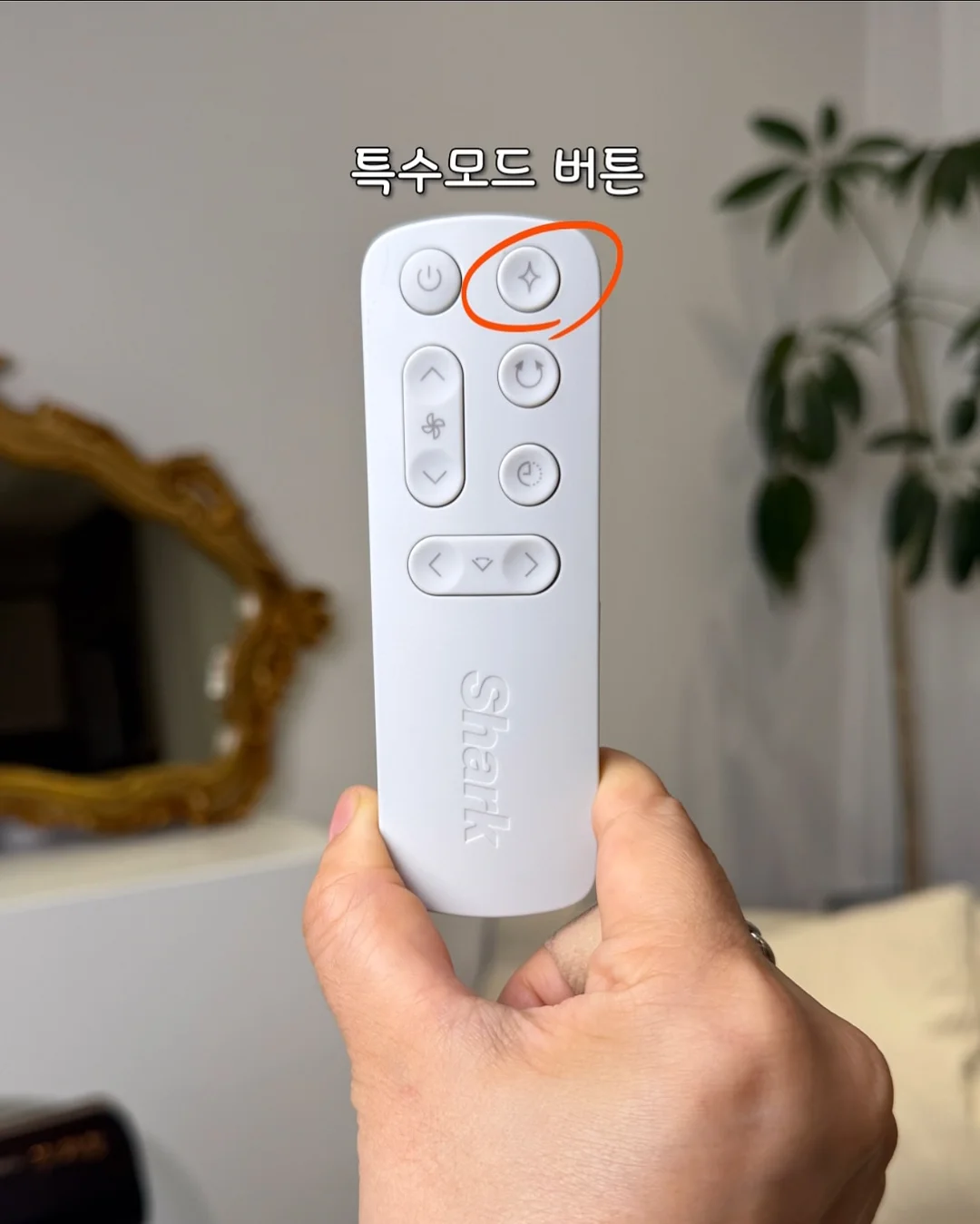 에스트로질 질 미네랄 유산균 14