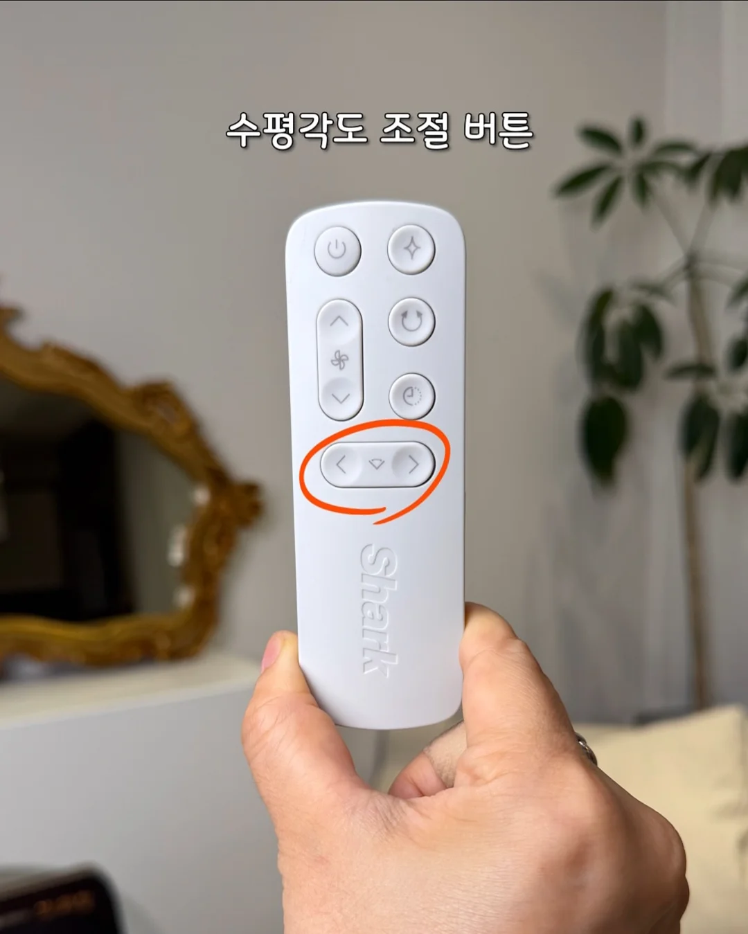 에스트로질 질 미네랄 유산균 19
