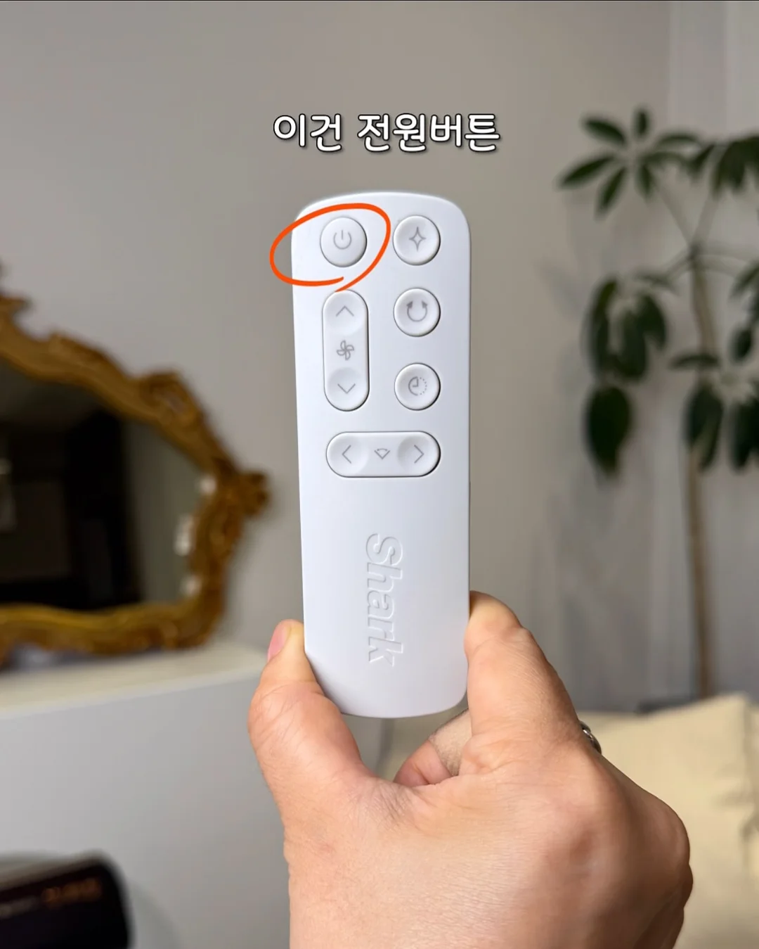 에스트로질 질 미네랄 유산균 4