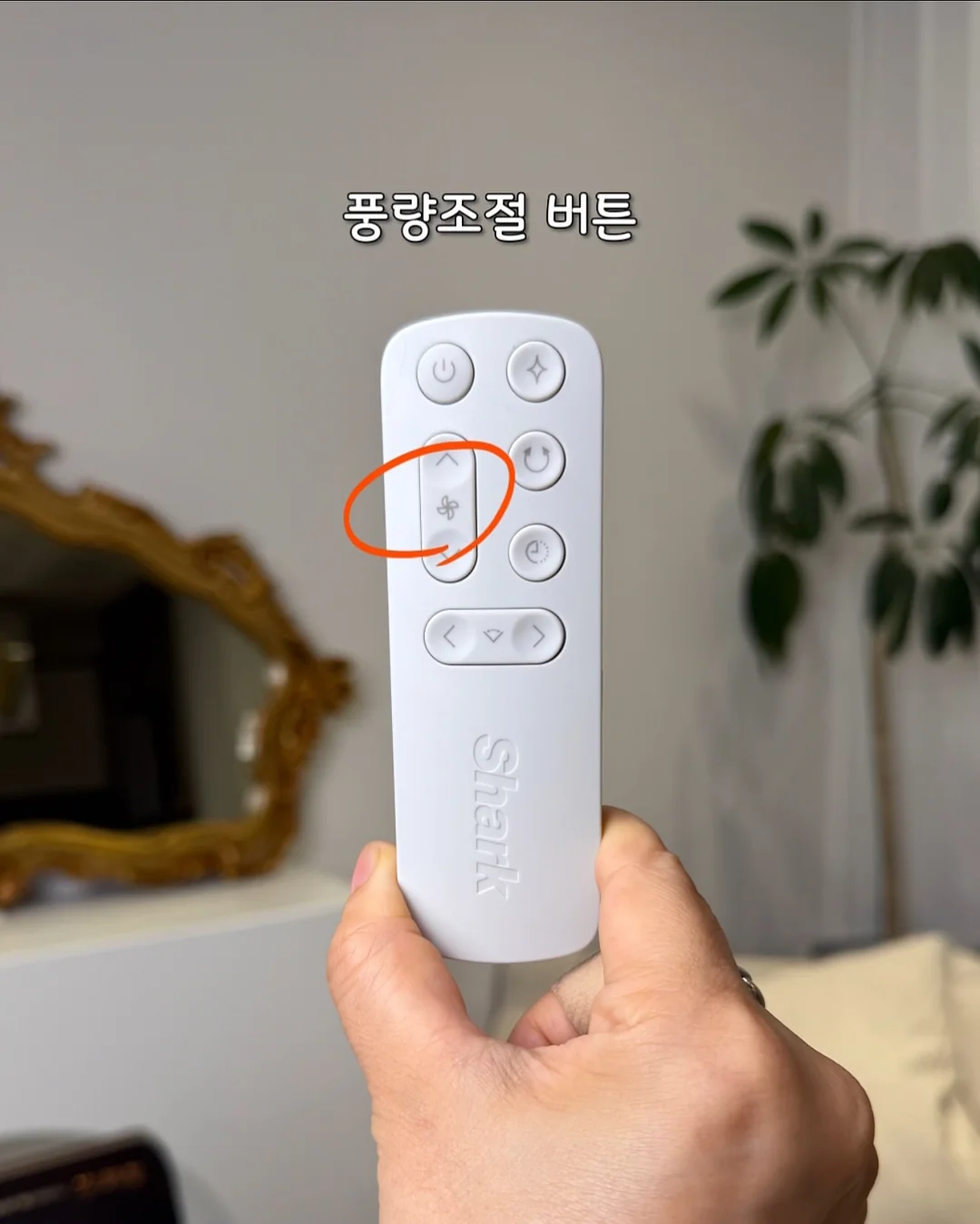 에스트로질 질 미네랄 유산균 8