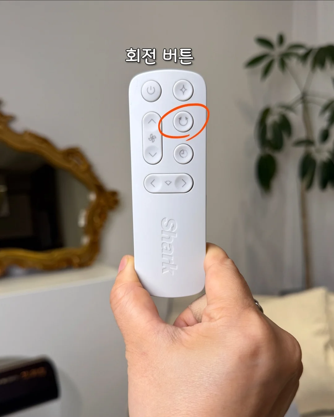 에스트로질 질 미네랄 유산균 10