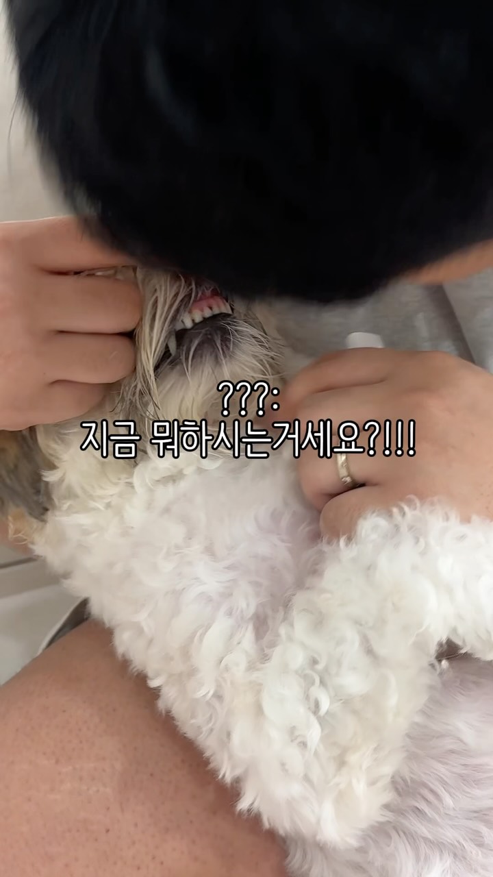 라메르코코