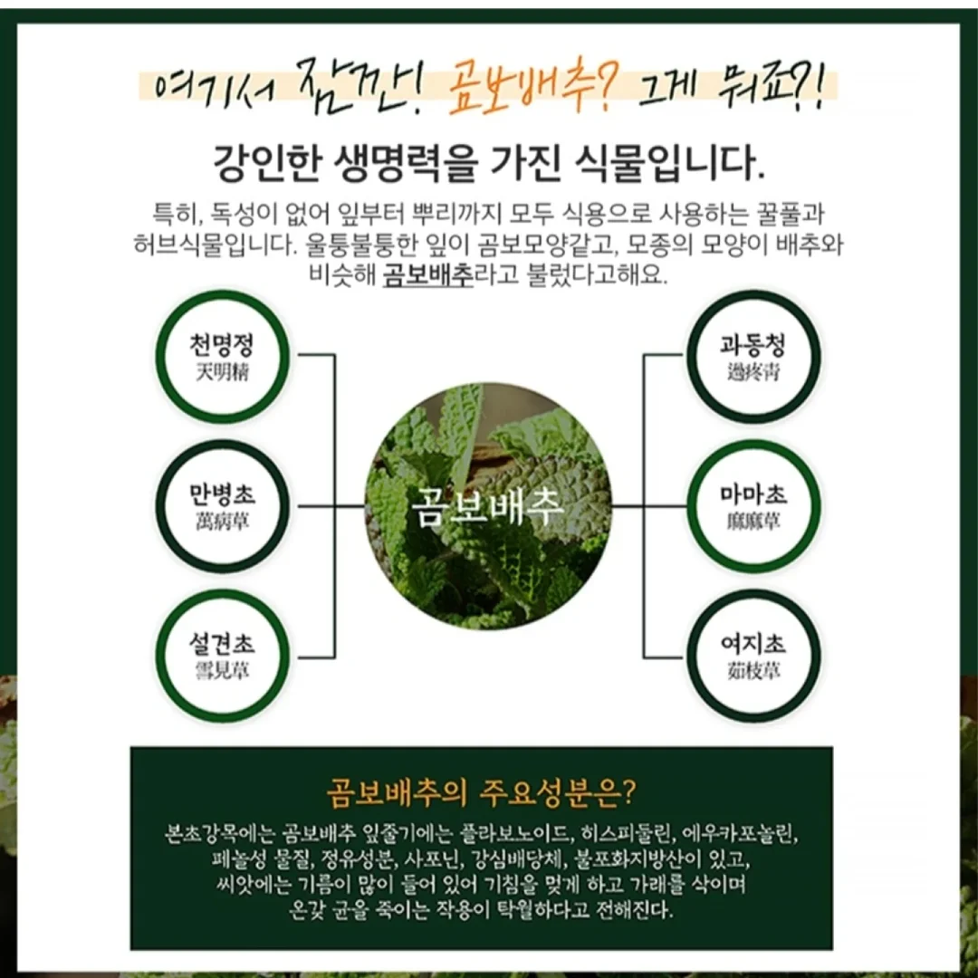 아미 반팔티 2